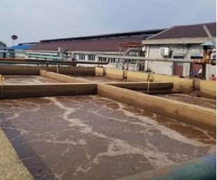 出水氨氮大于進水氨氮，怎么回事？