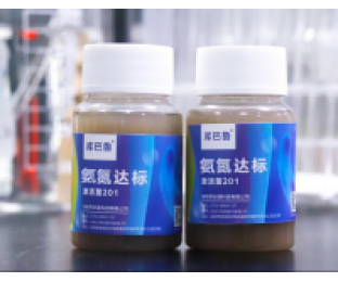 生化系統崩潰，氨氮超標，我該怎么辦?